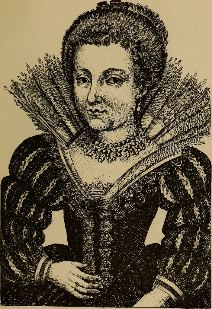 An illustration from Dentelles et guipures : anciennes et modernes, imitations ou copies. Varieté des genres et des points. 52 portraits documentaires, 249 échantillons de dentelles, collerettes, fraises, manchettes, rabats, etc., 1904, leaf 55
