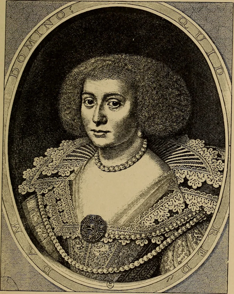 An illustration from Dentelles et guipures : anciennes et modernes, imitations ou copies. Varieté des genres et des points. 52 portraits documentaires, 249 échantillons de dentelles, collerettes, fraises, manchettes, rabats, etc., 1904, leaf 59