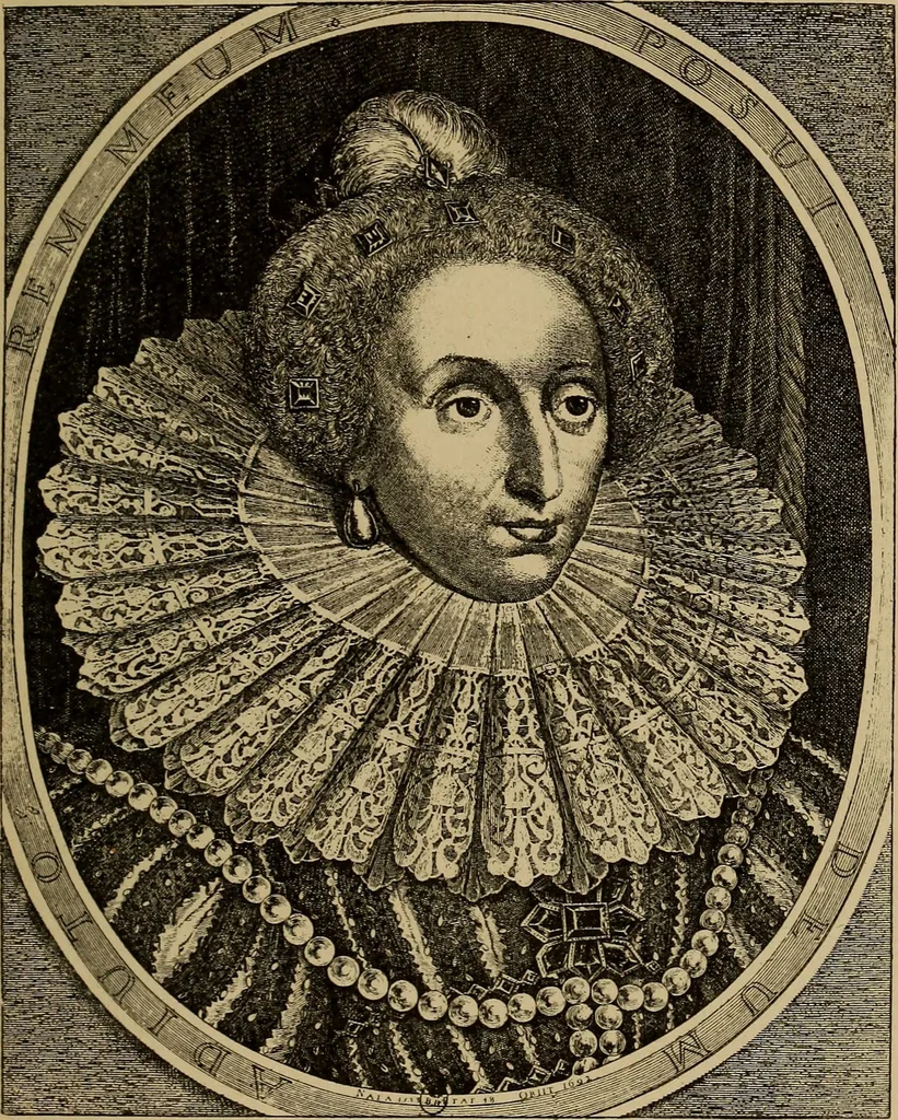 An illustration from Dentelles et guipures : anciennes et modernes, imitations ou copies. Varieté des genres et des points. 52 portraits documentaires, 249 échantillons de dentelles, collerettes, fraises, manchettes, rabats, etc., 1904, leaf 61