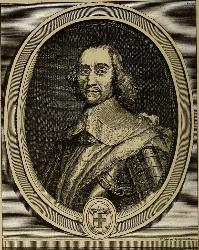 An illustration from Dentelles et guipures : anciennes et modernes, imitations ou copies. Varieté des genres et des points. 52 portraits documentaires, 249 échantillons de dentelles, collerettes, fraises, manchettes, rabats, etc., 1904, leaf 72