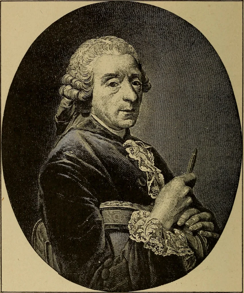 An illustration from Dentelles et guipures : anciennes et modernes, imitations ou copies. Varieté des genres et des points. 52 portraits documentaires, 249 échantillons de dentelles, collerettes, fraises, manchettes, rabats, etc., 1904, leaf 86