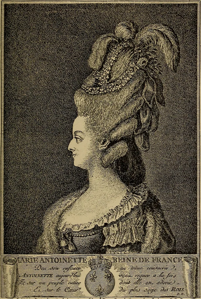 An illustration from Dentelles et guipures : anciennes et modernes, imitations ou copies. Varieté des genres et des points. 52 portraits documentaires, 249 échantillons de dentelles, collerettes, fraises, manchettes, rabats, etc., 1904, leaf 91