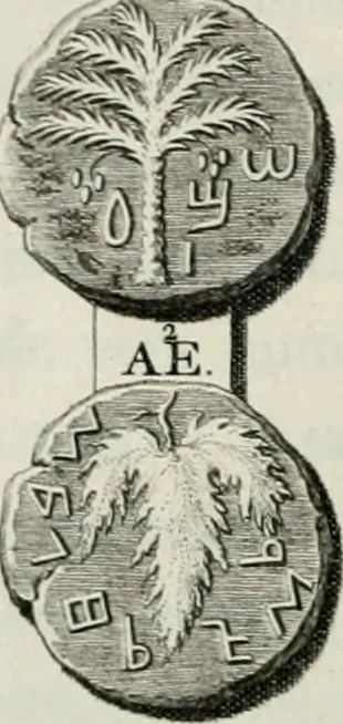 An illustration from De numis hebraeo-samaritanis, 1781, leaf 119