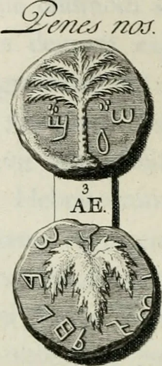 An illustration from De numis hebraeo-samaritanis, 1781, leaf 119