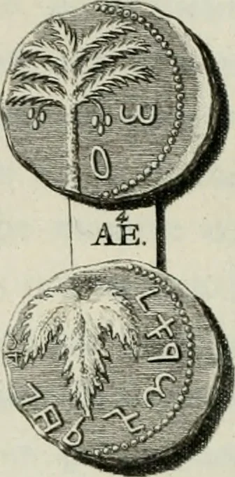 An illustration from De numis hebraeo-samaritanis, 1781, leaf 119