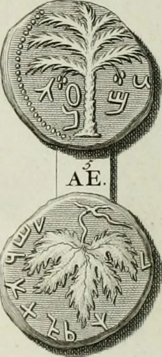 An illustration from De numis hebraeo-samaritanis, 1781, leaf 169