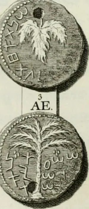 An illustration from De numis hebraeo-samaritanis, 1781, leaf 87