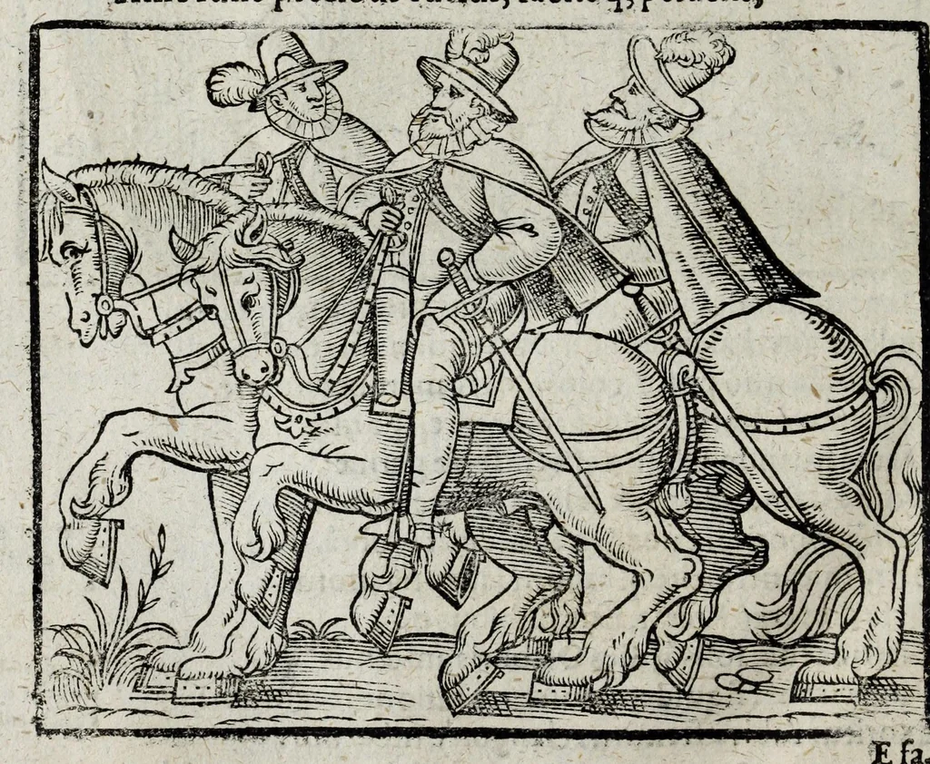 An illustration from De nuptiis illustris ac generosi Domini, Dom. Iohannis Georgii, Comitis a Zollern, serenissimi vtriusque Bauariae Ducis, Maxaemiliani consiliarij, &c. illustris & generosi Domini, Dom. Italo Friderici, Comitis à Zollern, Sigmaringen & Veringen, Domini in Haigerloch & Wehrstain, Romani Imperij Cubicularij haereditarij, Sacrae Caes. Maiestatis consiliarij intimi, &c. filii vnicè dilecti, Dominorum suorum clementissimorum, cum illustri et generosa Domina, Do. Francisca, illustris & generosi Domini, Dom. Friderici Vvild, Comitis in Thaumb & Kyrburg, Comitis Rheinensis in Stain, Comitis à Salm, & Domini in Vinstingen, &c. filia : celebratis Hechingae XI. Octobris, anno salutis M. D. IIC. libri septem : versu heroico, 1601, leaf 110