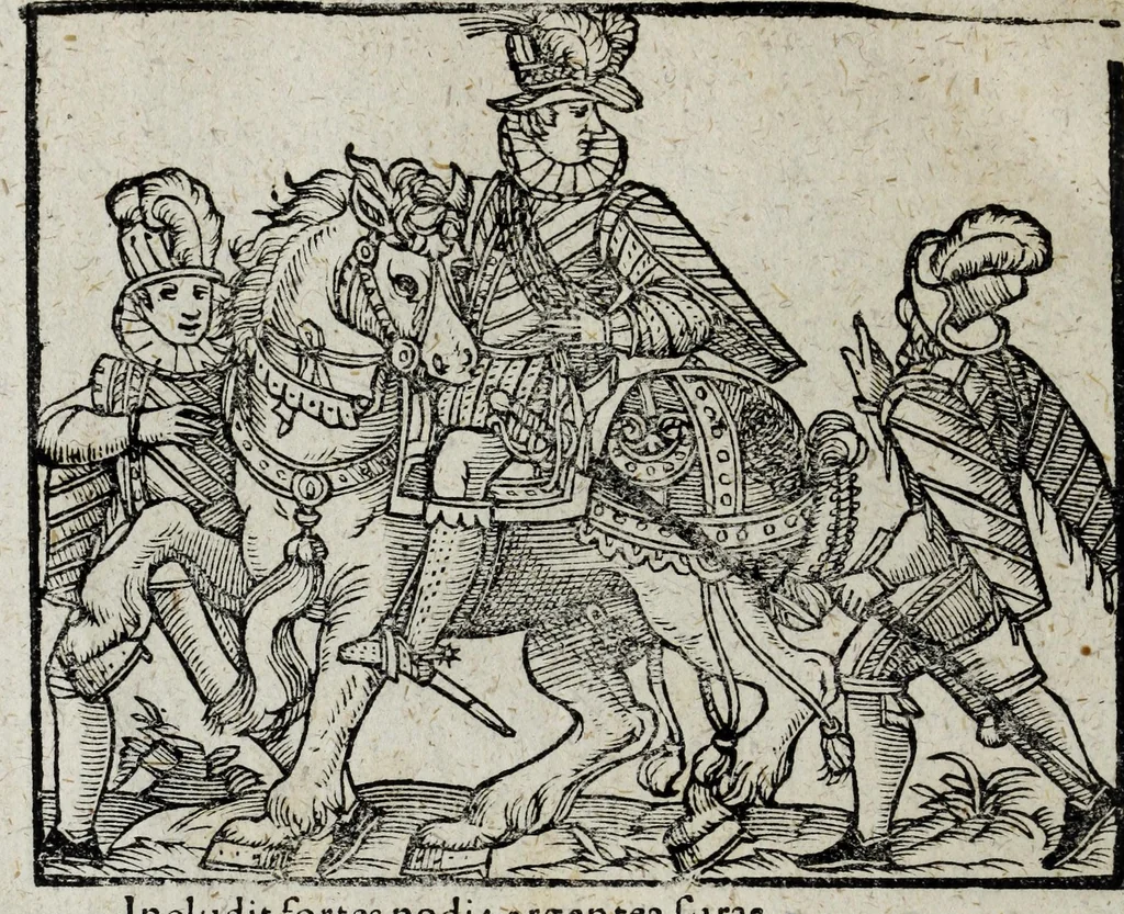 An illustration from De nuptiis illustris ac generosi Domini, Dom. Iohannis Georgii, Comitis a Zollern, serenissimi vtriusque Bauariae Ducis, Maxaemiliani consiliarij, &c. illustris & generosi Domini, Dom. Italo Friderici, Comitis à Zollern, Sigmaringen & Veringen, Domini in Haigerloch & Wehrstain, Romani Imperij Cubicularij haereditarij, Sacrae Caes. Maiestatis consiliarij intimi, &c. filii vnicè dilecti, Dominorum suorum clementissimorum, cum illustri et generosa Domina, Do. Francisca, illustris & generosi Domini, Dom. Friderici Vvild, Comitis in Thaumb & Kyrburg, Comitis Rheinensis in Stain, Comitis à Salm, & Domini in Vinstingen, &c. filia : celebratis Hechingae XI. Octobris, anno salutis M. D. IIC. libri septem : versu heroico, 1601, leaf 120