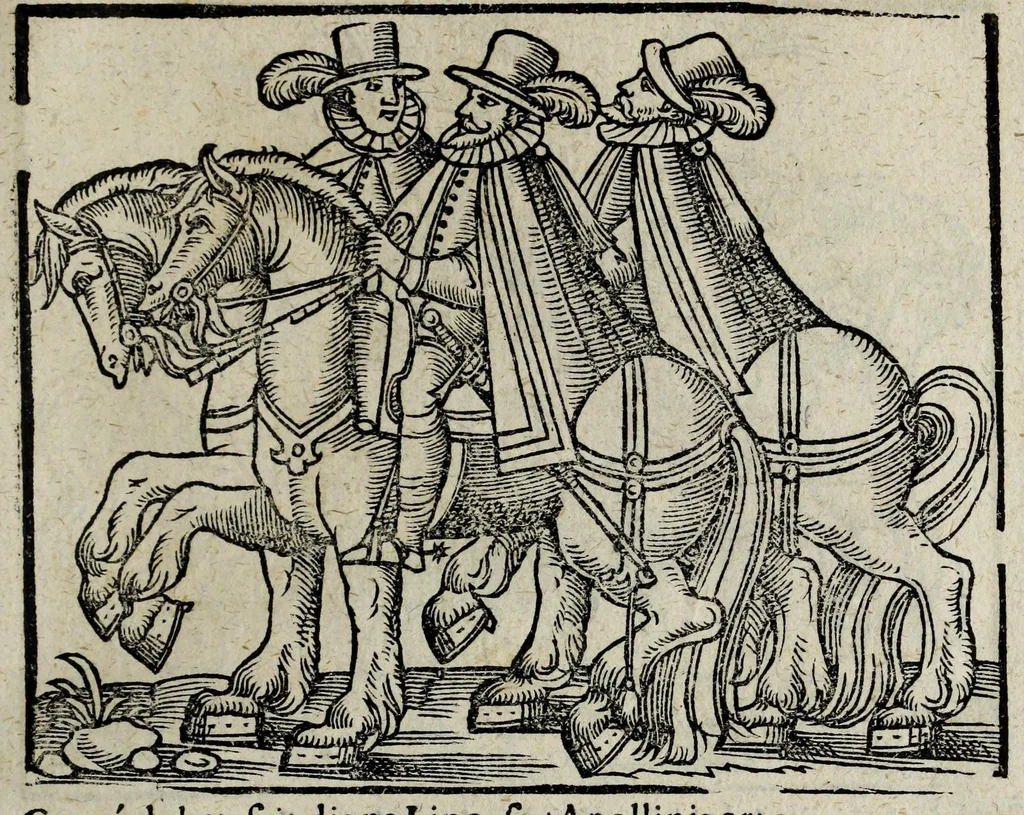 An illustration from De nuptiis illustris ac generosi Domini, Dom. Iohannis Georgii, Comitis a Zollern, serenissimi vtriusque Bauariae Ducis, Maxaemiliani consiliarij, &c. illustris & generosi Domini, Dom. Italo Friderici, Comitis à Zollern, Sigmaringen & Veringen, Domini in Haigerloch & Wehrstain, Romani Imperij Cubicularij haereditarij, Sacrae Caes. Maiestatis consiliarij intimi, &c. filii vnicè dilecti, Dominorum suorum clementissimorum, cum illustri et generosa Domina, Do. Francisca, illustris & generosi Domini, Dom. Friderici Vvild, Comitis in Thaumb & Kyrburg, Comitis Rheinensis in Stain, Comitis à Salm, & Domini in Vinstingen, &c. filia : celebratis Hechingae XI. Octobris, anno salutis M. D. IIC. libri septem : versu heroico, 1601, leaf 129