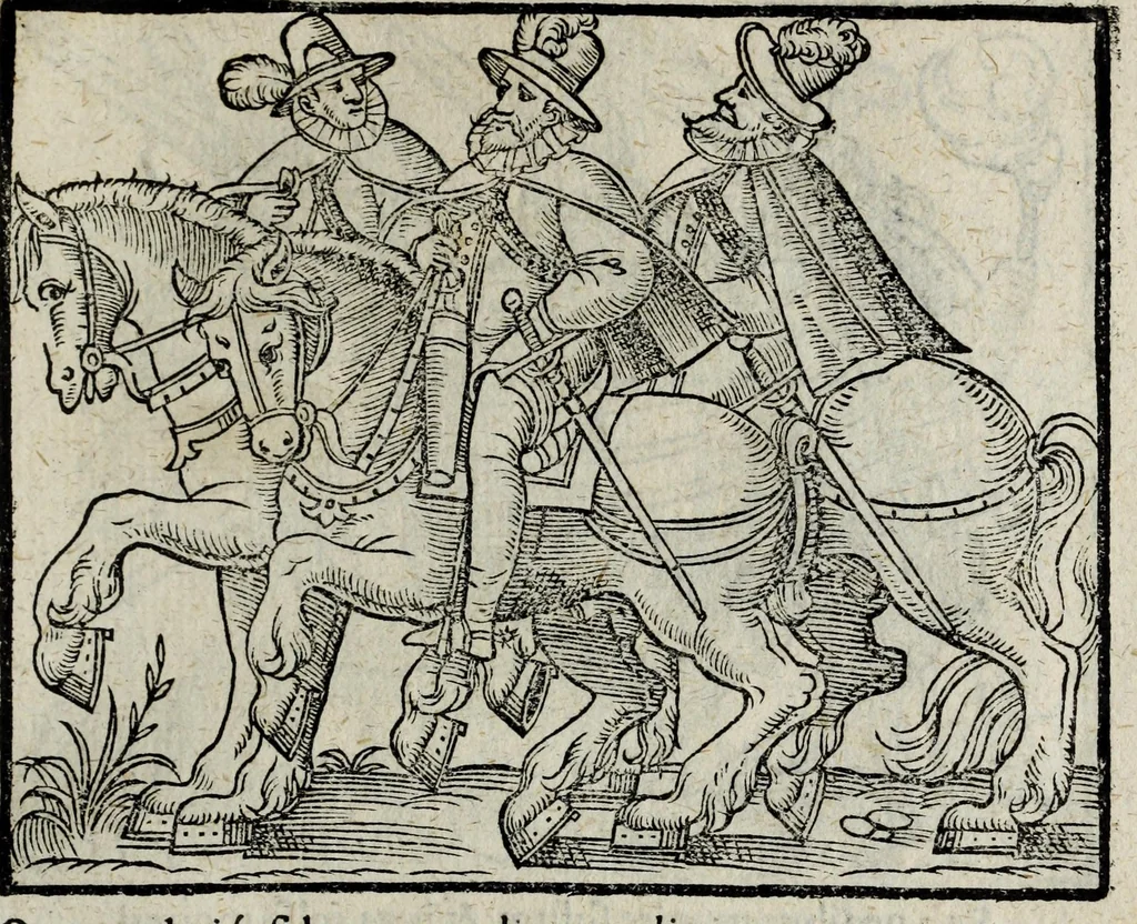 An illustration from De nuptiis illustris ac generosi Domini, Dom. Iohannis Georgii, Comitis a Zollern, serenissimi vtriusque Bauariae Ducis, Maxaemiliani consiliarij, &c. illustris & generosi Domini, Dom. Italo Friderici, Comitis à Zollern, Sigmaringen & Veringen, Domini in Haigerloch & Wehrstain, Romani Imperij Cubicularij haereditarij, Sacrae Caes. Maiestatis consiliarij intimi, &c. filii vnicè dilecti, Dominorum suorum clementissimorum, cum illustri et generosa Domina, Do. Francisca, illustris & generosi Domini, Dom. Friderici Vvild, Comitis in Thaumb & Kyrburg, Comitis Rheinensis in Stain, Comitis à Salm, & Domini in Vinstingen, &c. filia : celebratis Hechingae XI. Octobris, anno salutis M. D. IIC. libri septem : versu heroico, 1601, leaf 133