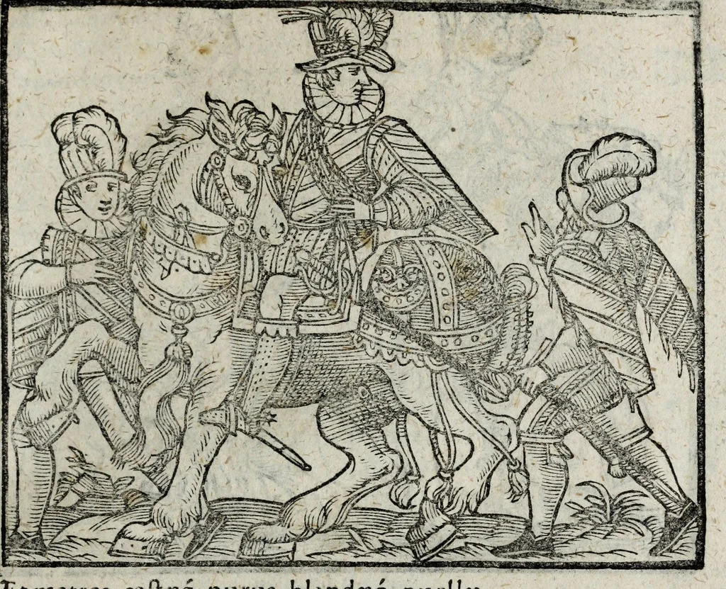 An illustration from De nuptiis illustris ac generosi Domini, Dom. Iohannis Georgii, Comitis a Zollern, serenissimi vtriusque Bauariae Ducis, Maxaemiliani consiliarij, &c. illustris & generosi Domini, Dom. Italo Friderici, Comitis à Zollern, Sigmaringen & Veringen, Domini in Haigerloch & Wehrstain, Romani Imperij Cubicularij haereditarij, Sacrae Caes. Maiestatis consiliarij intimi, &c. filii vnicè dilecti, Dominorum suorum clementissimorum, cum illustri et generosa Domina, Do. Francisca, illustris & generosi Domini, Dom. Friderici Vvild, Comitis in Thaumb & Kyrburg, Comitis Rheinensis in Stain, Comitis à Salm, & Domini in Vinstingen, &c. filia : celebratis Hechingae XI. Octobris, anno salutis M. D. IIC. libri septem : versu heroico, 1601, leaf 137