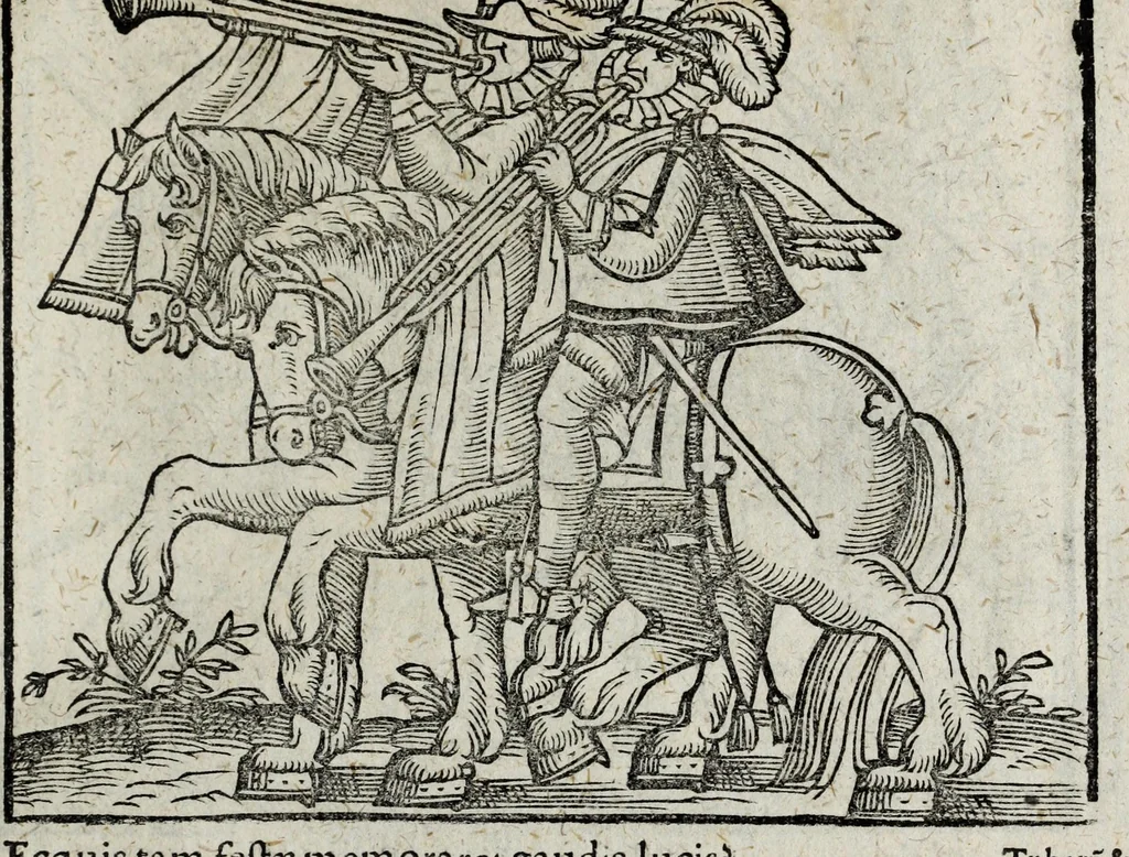An illustration from De nuptiis illustris ac generosi Domini, Dom. Iohannis Georgii, Comitis a Zollern, serenissimi vtriusque Bauariae Ducis, Maxaemiliani consiliarij, &c. illustris & generosi Domini, Dom. Italo Friderici, Comitis à Zollern, Sigmaringen & Veringen, Domini in Haigerloch & Wehrstain, Romani Imperij Cubicularij haereditarij, Sacrae Caes. Maiestatis consiliarij intimi, &c. filii vnicè dilecti, Dominorum suorum clementissimorum, cum illustri et generosa Domina, Do. Francisca, illustris & generosi Domini, Dom. Friderici Vvild, Comitis in Thaumb & Kyrburg, Comitis Rheinensis in Stain, Comitis à Salm, & Domini in Vinstingen, &c. filia : celebratis Hechingae XI. Octobris, anno salutis M. D. IIC. libri septem : versu heroico, 1601, leaf 141