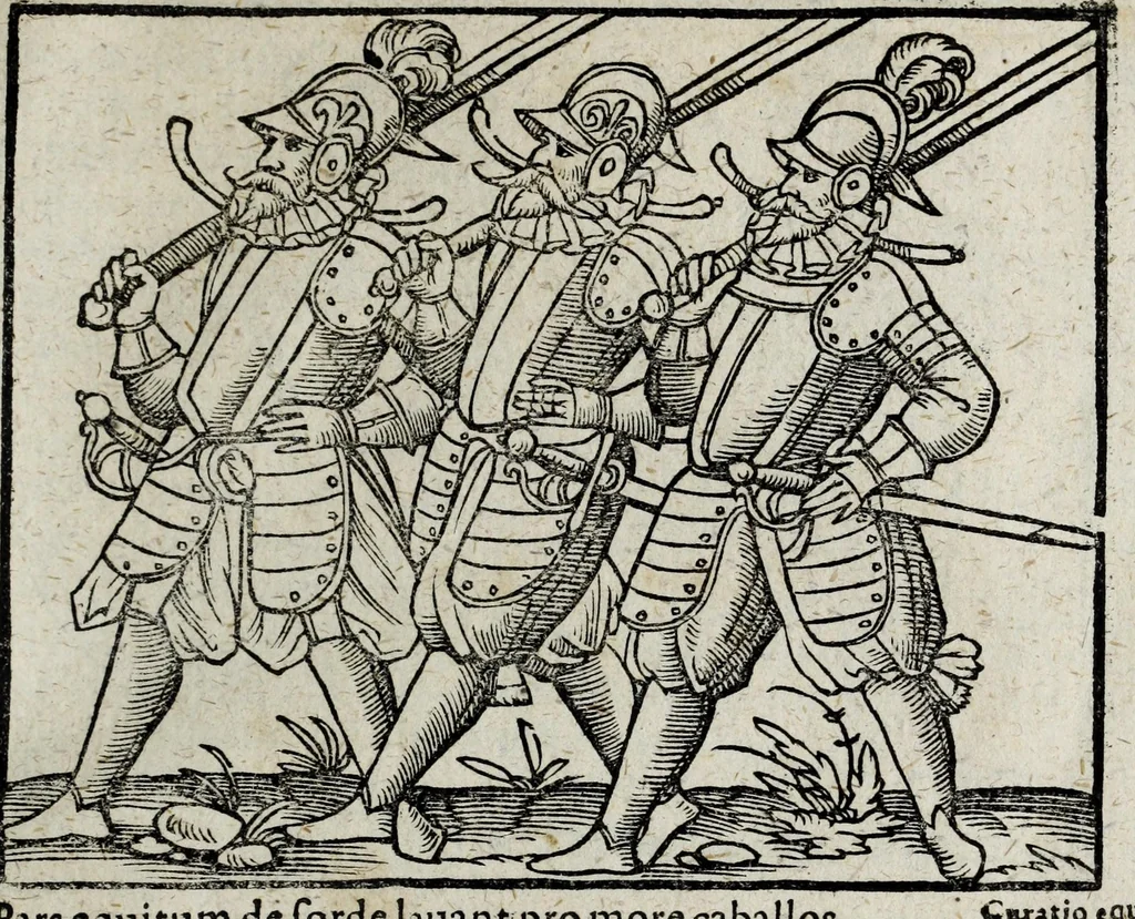 An illustration from De nuptiis illustris ac generosi Domini, Dom. Iohannis Georgii, Comitis a Zollern, serenissimi vtriusque Bauariae Ducis, Maxaemiliani consiliarij, &c. illustris & generosi Domini, Dom. Italo Friderici, Comitis à Zollern, Sigmaringen & Veringen, Domini in Haigerloch & Wehrstain, Romani Imperij Cubicularij haereditarij, Sacrae Caes. Maiestatis consiliarij intimi, &c. filii vnicè dilecti, Dominorum suorum clementissimorum, cum illustri et generosa Domina, Do. Francisca, illustris & generosi Domini, Dom. Friderici Vvild, Comitis in Thaumb & Kyrburg, Comitis Rheinensis in Stain, Comitis à Salm, & Domini in Vinstingen, &c. filia : celebratis Hechingae XI. Octobris, anno salutis M. D. IIC. libri septem : versu heroico, 1601, leaf 143