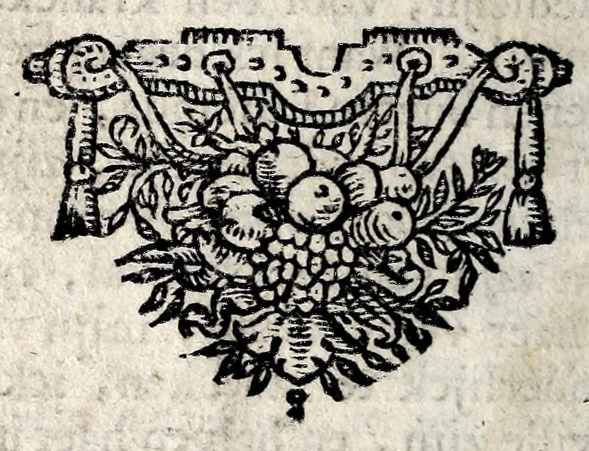An illustration from Den verstandigen vroomen ridder, don Quichot de la Mancha, 1657, leaf 370