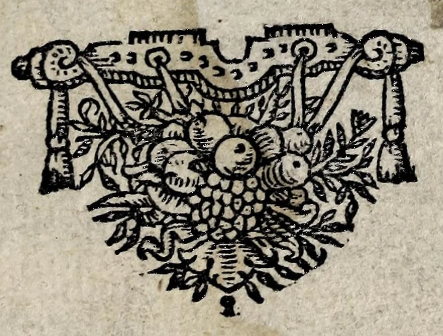 An illustration from Den verstandigen vroomen ridder, don Quichot de la Mancha, 1657, leaf 5