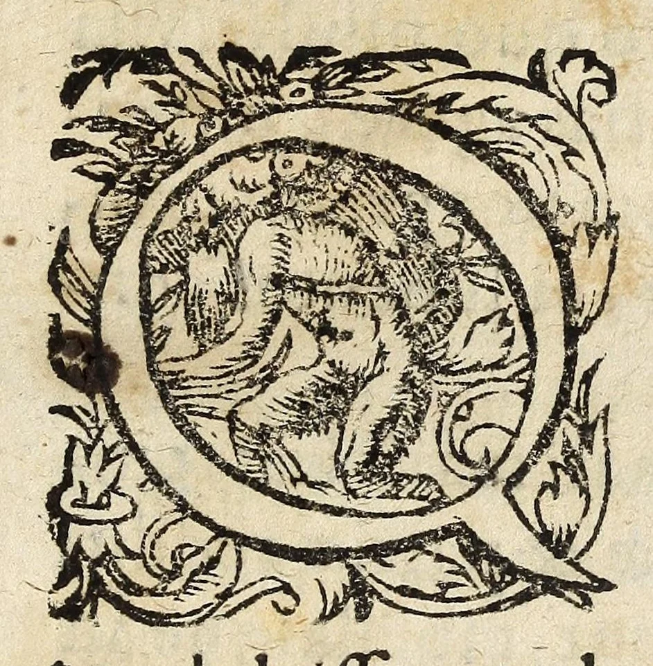 An illustration from De nvmismate censvs, a Pharisaeis in qvaestionem vocato : dissertatio theologistorica Marqvardi Freheri .., 1599, leaf 11