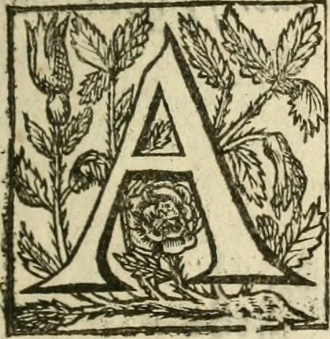 An illustration from Den wech des eeuwich levens, 1622, leaf 10