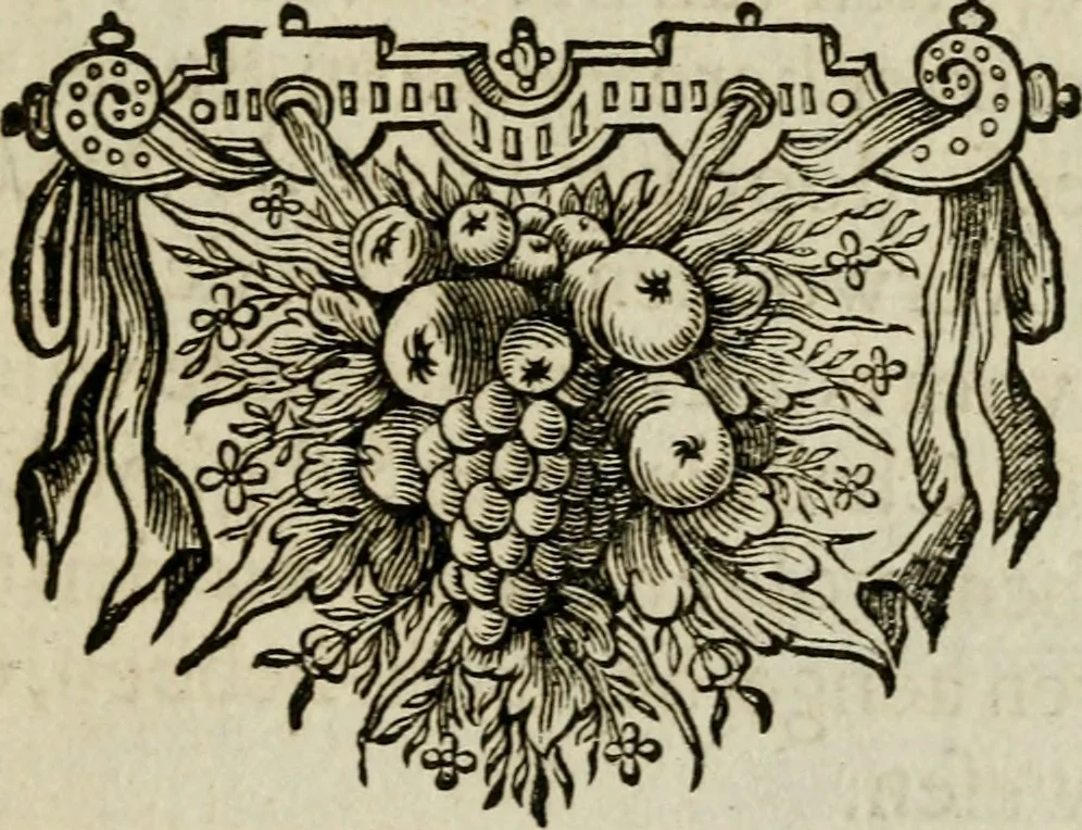 An illustration from Den wech des eeuwich levens, 1649, leaf 300