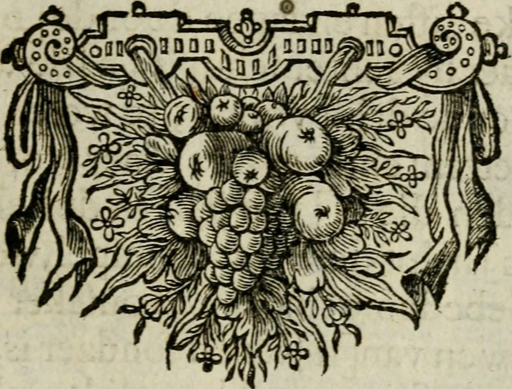 An illustration from Den wech des eeuwich levens, 1649, leaf 336