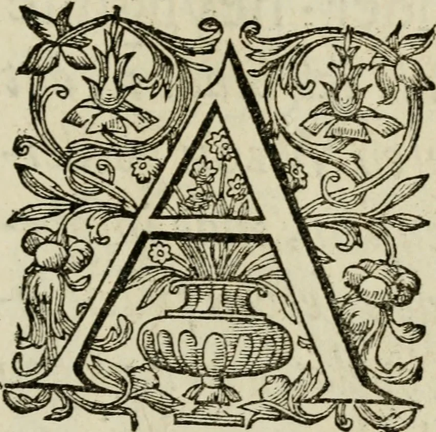 An illustration from Den wech des eeuwich levens, 1649, leaf 6