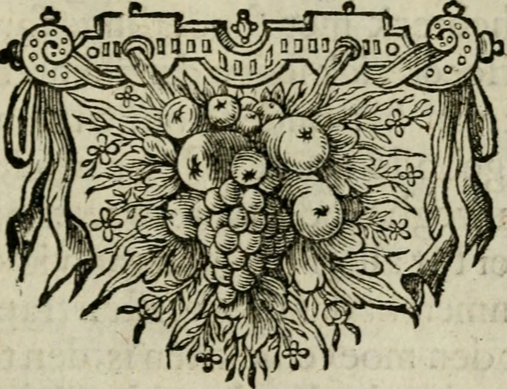 An illustration from Den wech des eeuwich levens, 1649, leaf 740
