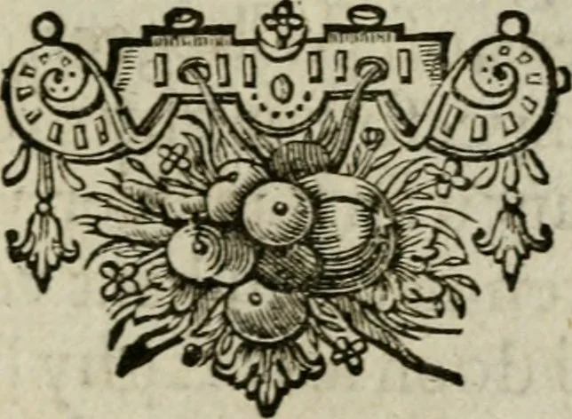 An illustration from Den wech des eeuwich levens, 1649, leaf 818