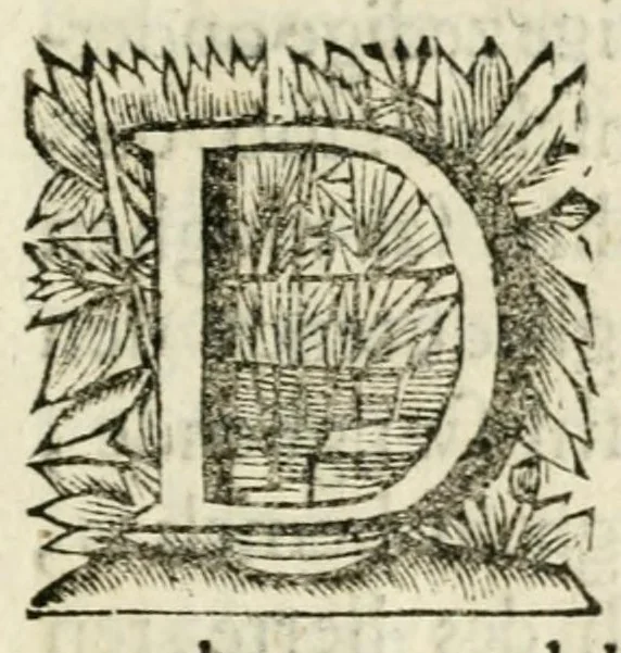 An illustration from De on-ghemaskerde liefde des Hemels : tot weder-liefde door verscheyden beweegh-redenen, aen-spraecken ende betrachtinghen : verciert met schoone sinne-belden, 1686, leaf 17