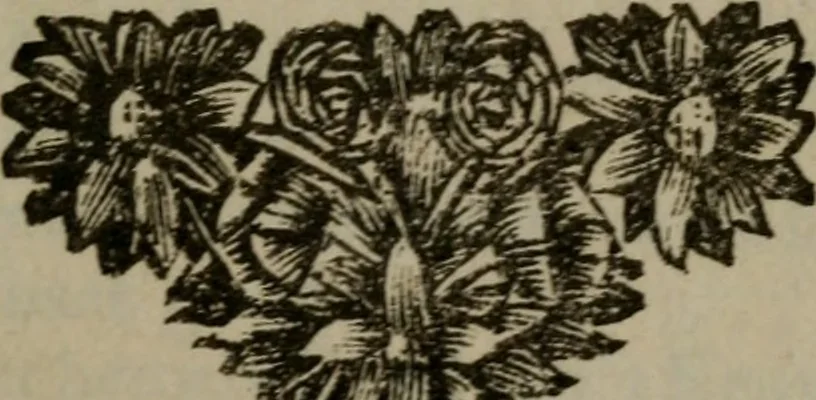 An illustration from De Onwaardige Wereld, 1728, leaf 6