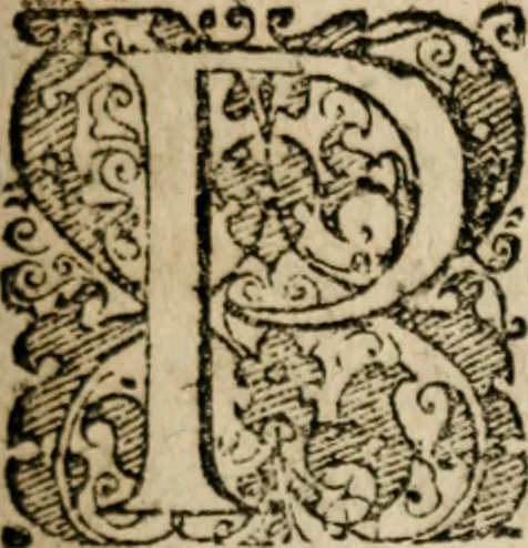 An illustration from De optimo repvblicae statv, deqve nova insvla Vtopia, libri dvo, 1613, leaf 8
