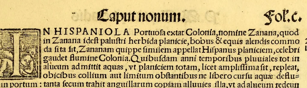 An illustration from De orbe nouo Petri Martyris ab Angleria Mediolanensis protonotarij C[a]esaris senatoris decades, 1530, leaf 209