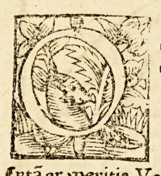 An illustration from De orbis situ ac descriptione, ad reuerendiss. D. archiepiscopum Panormitanum, Francisci, monachi ordinis Fra[n]ciscani, epistola sane qua[m] luculenta. : In qua Ptolemæi, cæterorumq[ue] superioru[m] geographorum hallucinatio refellitur, aliaq[ue] præterea de recens inuentis terris, mari, insulis, 1529, leaf 10