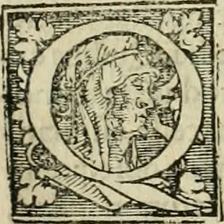 An illustration from De orbis terrae concordia libri quatuor : multiiuga eruditione ac pietate referti, quibus nihil hoc tam perturbato rerum statu uel utilius, uel accommodatius potuisse in publicum edi, quiuis aequus lector iudicabit, 1544, leaf 272