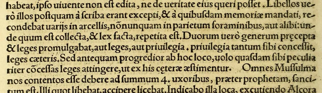 An illustration from De orbis terræ concordia libri quatuor, multijuga eruditione ac pietate referti, quibus nihil hoc tam perturbato rerum statu uel utilius, uel accommodatius potuisse in publicum edi, quiuis æquus lector iudicabit., 1544, leaf 164