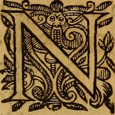 An illustration from De ortu infantium contra naturam, per sectionem Caesaream : tractatio: qua reliqui item conscientiae nodi ad matrem aluo gerentem, ac foetum, eiúsque partum spectantes, solidè et accuratè expediuntur, 1637, leaf 16