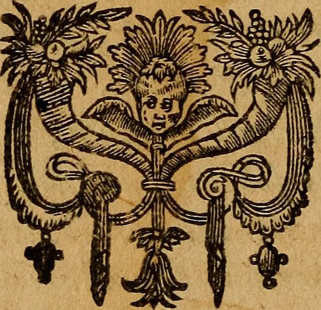 An illustration from De ortu infantium contra naturam, per sectionem Caesaream : tractatio: qua reliqui item conscientiae nodi ad matrem aluo gerentem, ac foetum, eiúsque partum spectantes, solidè et accuratè expediuntur, 1637, leaf 27