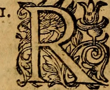 An illustration from De ortu infantium contra naturam, per sectionem Caesaream : tractatio: qua reliqui item conscientiae nodi ad matrem aluo gerentem, ac foetum, eiúsque partum spectantes, solidè et accuratè expediuntur, 1637, leaf 301