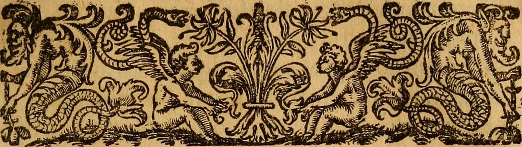 An illustration from De ortu infantium contra naturam, per sectionem Caesaream : tractatio: qua reliqui item conscientiae nodi ad matrem aluo gerentem, ac foetum, eiúsque partum spectantes, solidè et accuratè expediuntur, 1637, leaf 336