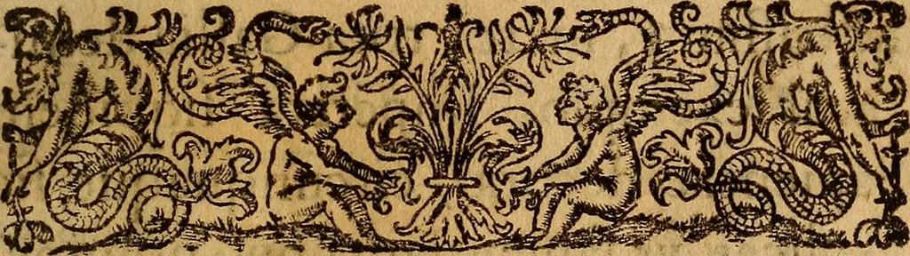 An illustration from De ortu infantium contra naturam, per sectionem Caesaream : tractatio: qua reliqui item conscientiae nodi ad matrem aluo gerentem, ac foetum, eiúsque partum spectantes, solidè et accuratè expediuntur, 1637, leaf 6