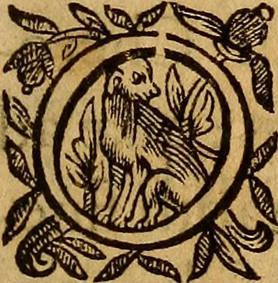 An illustration from De ortu infantium contra naturam, per sectionem Caesaream : tractatio: qua reliqui item conscientiae nodi ad matrem aluo gerentem, ac foetum, eiúsque partum spectantes, solidè et accuratè expediuntur, 1637, leaf 6