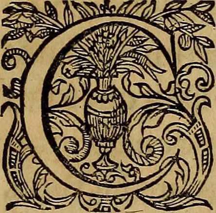 An illustration from Historia deorum fatidicorum, vatum, sibyllarum, phoebadum, apud priscos illustrium : cum eorum iconibus : praeposita est disertatio de divinatione et oraculis, 1675, leaf 14