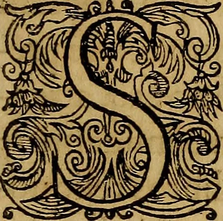 An illustration from Historia deorum fatidicorum, vatum, sibyllarum, phoebadum, apud priscos illustrium : cum eorum iconibus : praeposita est disertatio de divinatione et oraculis, 1675, leaf 180