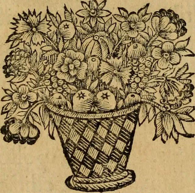 An illustration from Historia deorum fatidicorum, vatum, sibyllarum, phoebadum, apud priscos illustrium : cum eorum iconibus : praeposita est disertatio de divinatione et oraculis, 1675, leaf 67