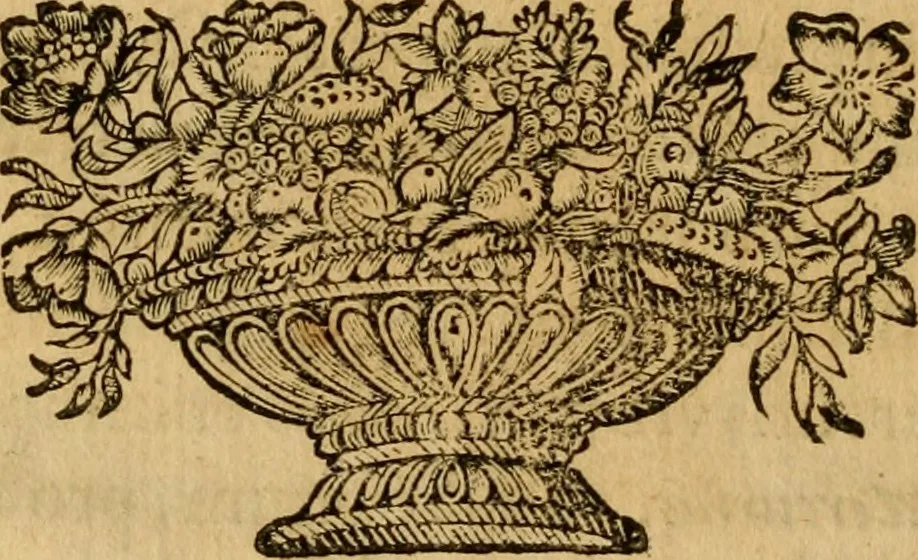 An illustration from Historia deorum fatidicorum, vatum, sibyllarum, phoebadum, apud priscos illustrium : cum eorum iconibus : praeposita est disertatio de divinatione et oraculis, 1675, leaf 91