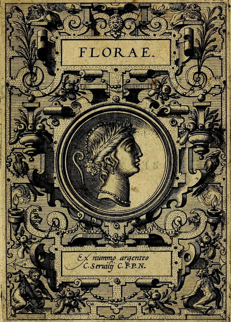 An illustration from Deorvm dearvmqve capita, ex antiquis numismatibus Abrahami Ortelii collecta et historica narratione illustrata a Francisco Sweertio, 1602, leaf 136