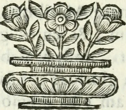 An illustration from De pace inter hispaniarum et galliarum reges habita : panegyrica dictio, 1660, leaf 17