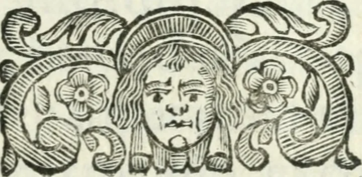 An illustration from De pace inter hispaniarum et galliarum reges habita : panegyrica dictio, 1660, leaf 4