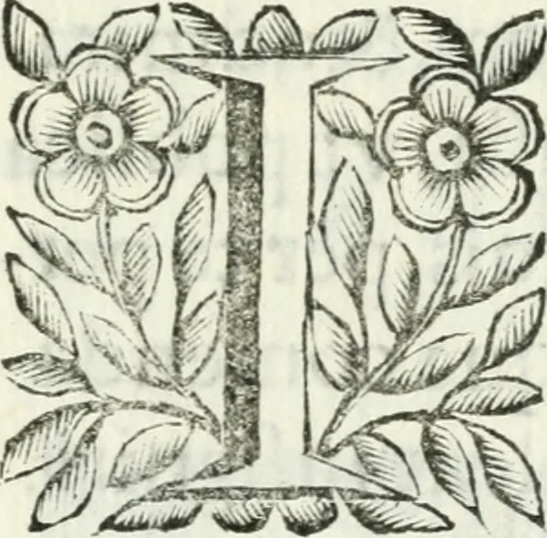 An illustration from De pace inter hispaniarum et galliarum reges habita : panegyrica dictio, 1660, leaf 6