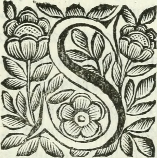 An illustration from De pace inter hispaniarum et galliarum reges habita : panegyrica dictio, 1660, leaf 8