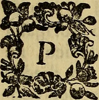 An illustration from De' palazzi reali che sono stati nella città e territorio di Pavia : dissertazione, 1771, leaf 66